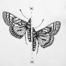 See more ideas about moth tattoo, tattoos, moth. Split Moth Tattoo Design