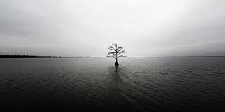 Image result for Lonely