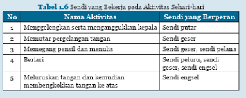 Kelas08 belajar ipa membuka cakrawala saeful by s van. Kunci Jawaban Ipa Kelas 8 Halaman 32 Ayo Kita Lakukan Aktivitas 1 4 Bab 1 Ilmu Edukasi