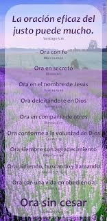 La Oracion Eficaz Del Justo Puede Mucho Santiago 5 16 Bible Quotes Bible Emergency Numbers Beautiful Words