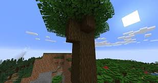 Trees In Minecraft, Including The Large 2X2 Variants : R/Minecraft