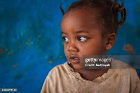 1,830 Glen Stern Stock Photos, High-Res Pictures, and Images