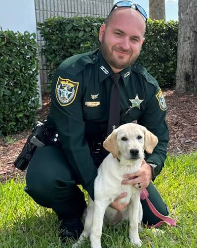 It's hard to believe how much K9 Molly has grown in size and intuition! K9  Molly and her handler, Sergeant Conn, are part of our narcotics detection  team and we couldn't be