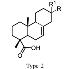 Image result for Aeollanthus buchnerianus