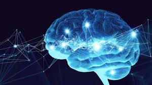 Brain and body survey | Science and ...