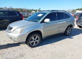 Image result for Brandywine 2008 RX