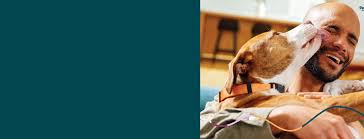 Veterinarian | Bradford Park Veterinary Hospital