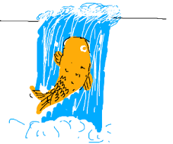 But a waterfall that cascades over rocks, such as yosemite falls, will be fatal to all but the smallest fish. Koi Fish Swims Up Waterfall Drawception