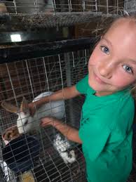 Supporting local 4-h youth with animal sales