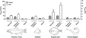 The digestive tract includes the esophagus (or food tube), stomach, small intestine/bowel, and colon or large intestine/bowel. Direct Measurements Of Pco2 In The Digestive Tract Of Fish