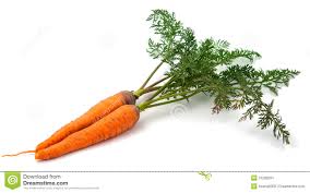 Carrots With The Leaves Stock Image Image Of Stuff Green 31209391