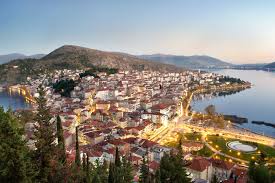 Image result for Grevea