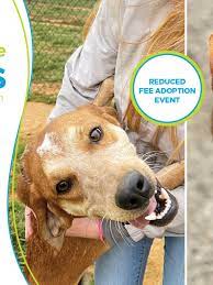 Check spelling or type a new query. Oklahoma Animal Rescues Participate In National Empty The Shelters Event Ktul