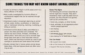 Google Image Result For Http Www Stevewilkison Com Socialcause Wp Content Upl Social Cause Animal Cruelty Awareness