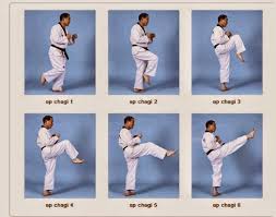 Serangan kaki lebih dikenal dengan tendangan. Jenis Tendangan Dasar Pada Taekwondo