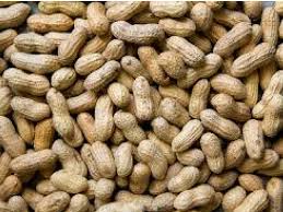 Dilakukan perbandingan beberapa jenis algoritma. Nak Kudapan Sihat Makanlah Kekacang Ketahui Khasiat 8 Jenis Kacang Ini