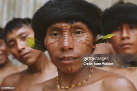 620 Ear Pierce Stock Photos, High-Res Pictures, and Images