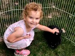 No politics. No covid. No negativity. Comment a picture of something that  brings you joy