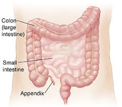 Check spelling or type a new query. Appendicitis Cure Superlife