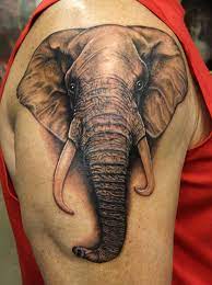 50 Awesome Animal Tattoo Designs Tattoos Elephant Head Tattoo Realistic Elephant Tattoo Elephant Tattoos