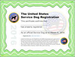 We did not find results for: How To Get A Service Dog Certificate Arxiusarquitectura