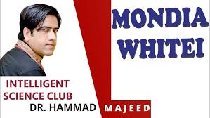 Image result for Mondia ecornuta