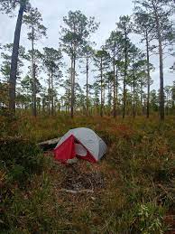 A One Night Trip In Croatan National Forest Before Thanksgiving Camping Hiking Outdoors Tent Outdoor Hiking In Virginia Missouri Camping National Forest