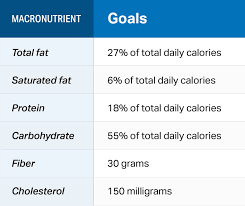 Everything You Need To Know About The Dash Diet Nutrition