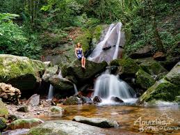 Also experienceporing treetop canopy walk.promoting your link also lets your audience know that you are featured on a rapidly growing. Kinabalu Park Poring Canopy Walk Tour Amazing Borneo Tours Amazing Borneo Tours