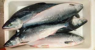 Check spelling or type a new query. Pukkellaks