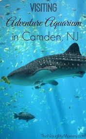 Adventure Aquarium A K A Camden Aquarium Adventure Nyc With Kids Camden