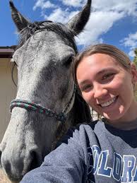 Introduction of horse Nova from Southeastern Colorado range