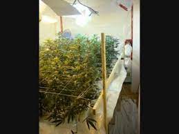 It is operated by the usda natural resources conservation service (nrcs) and provides access to the largest natural resource information system in the world. Flood And Drain Marijuana Wmv Youtube