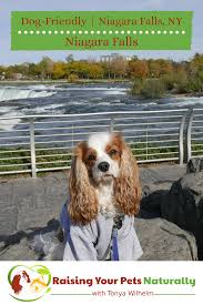 Dog Friendly Vacations Traveling With Dogs In Niagara Falls New York Usa Dog Friendly Vacation Dog Travel Niagara Falls Vacation