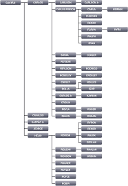 Gracie Family Tree Gracie Bjj Brazilian Jiu Jitsu Jiu Jitsu