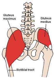 Want to discover art related to glutes? Buttock Augmentation Wikipedia