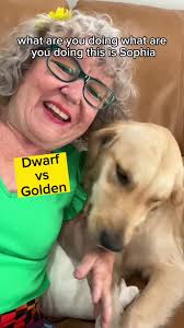 Dwarf vs Golden Dog loves #TanyaleeDavis #Unstoppableme #comedian  #dogsoftiktok #dogs @Untamed Kitchen #goldenretriever