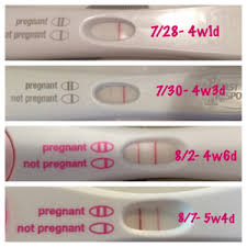 Some may consider these photos as graphic. 4 Weeks 6 Days Pregnant Hcg Level April 2017 Babies Forums What To Expect