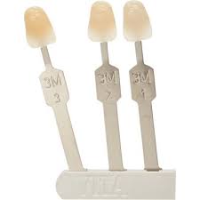 Determination of the exact shade is made in 2 easy steps. Vita 3d Master Tooth Cartridges 3m1 3m2 3m3