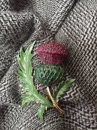 thistle pin