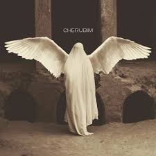 The words cherub and cherubim occur about a hundred times in the bible but descriptive. Cherubim