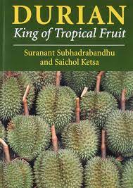 Durians are planted along the mountain slopes, valley and in the watershed areas.tree space is not fixed with no planting rows.the planting method begins by clearing the land patches and native durian seeds buried in the ground. Full Trial Durian King Of Tropical Fruit For Any Device Kopisenjabro420
