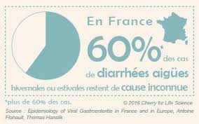 Temps d incubation de la gastro. Gastro Enterite Diagnostic Traitement Prevention