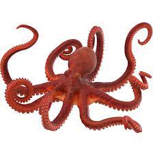 Octopus Octopus 3d Model Tentacle