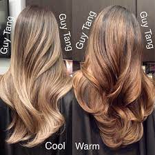 Do You Want Cool Or Warm Tone Hair Color Ideas For Brunettes Balayage Balayage Brunette Hair