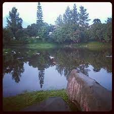 Check spelling or type a new query. Photos At Danau Ciper 1 Tip