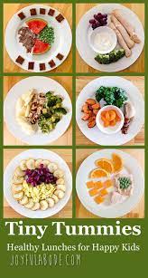 Tiny Tummies Lunches For Toddlers Joyful Abode Healthy Toddler Lunches Healthy Lunch Baby Food Recipes