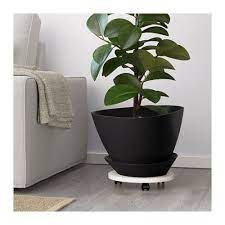 Products Ikea Plants Indoor Plant Pots Indoor Plants Diy