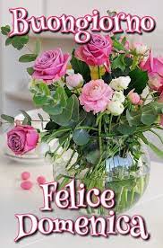 Buongiorno Felice Domenica Auguri Di Buongiorno Buongiorno Buongiorno Immagini