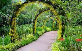 Singapore botanic gardens (botanische gärten von singapur) ist einer der wichtigsten botanischen gärten asiens.er ist 74 hektar groß und ist mit jährlich 4,2 millionen besucher der meistbesuchte botanische garten der welt. Botanischer Garten Von Singapur In Singapur Expedia